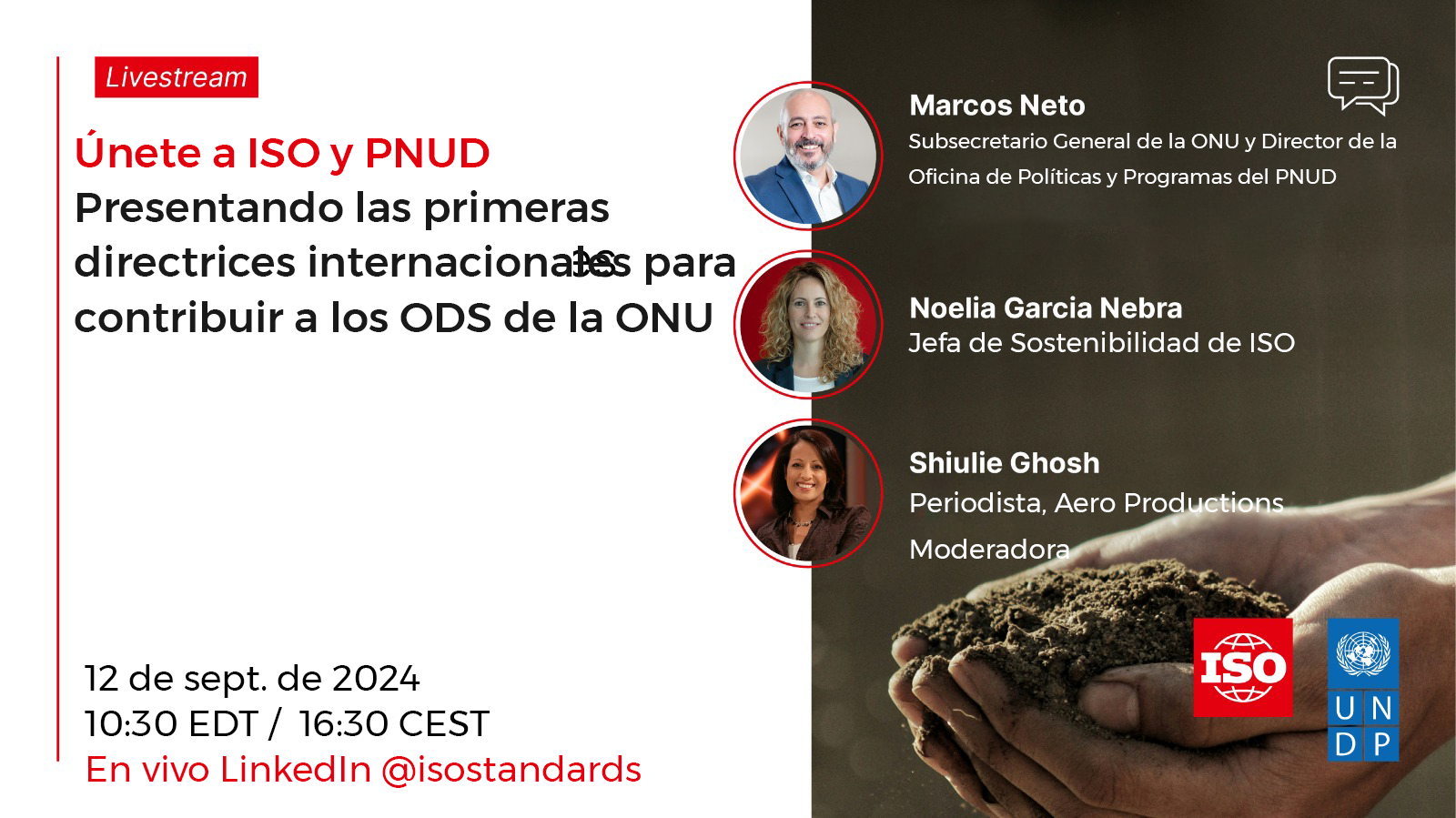Directrices ISO PNUD